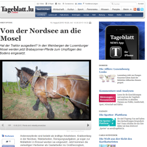 150810 tageblatt online