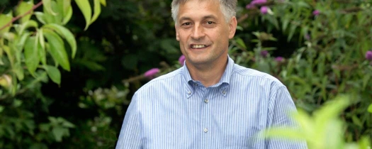 laurent-kox laurent-kox
