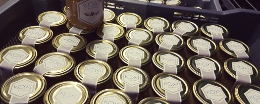 koxihoney2017 1 koxihoney2017 1