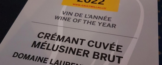 plaquette plaquette