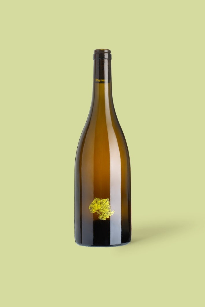 2024 | AMBER ESSENCE