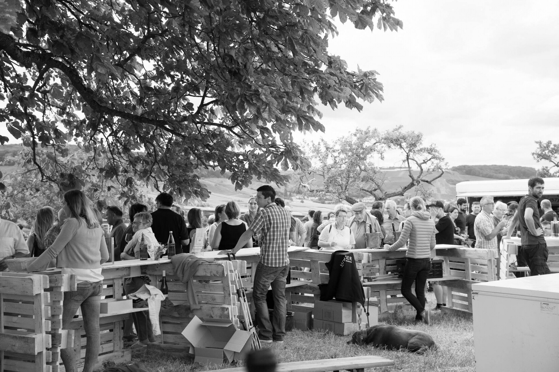 impressions du "weinschmaus am katzenhaus"