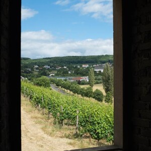 impressions du "weinschmaus am katzenhaus"