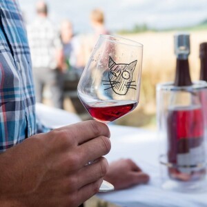 impressions du "weinschmaus am katzenhaus"
