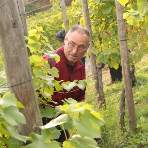 L'équipe des vendangeurs