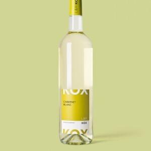 PIWI - LE FUTUR DANS LE VIGNOBLE