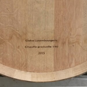 VINS 100% MADE IN LUXEMBOURG: LE PROJET « LËTZEBUERGER EECH »
