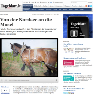 UN CHEVAL DANS LES VIGNES